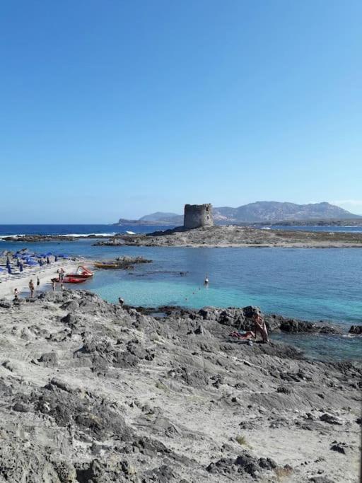 Stintino, Casa In Riva Alla Spiaggia Villa Dış mekan fotoğraf