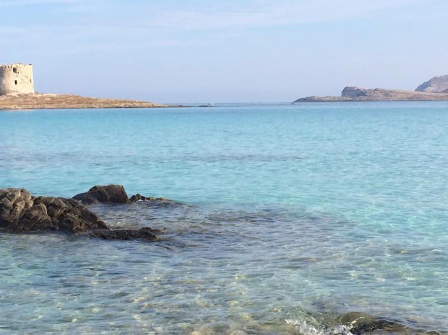 Stintino, Casa In Riva Alla Spiaggia Villa Dış mekan fotoğraf