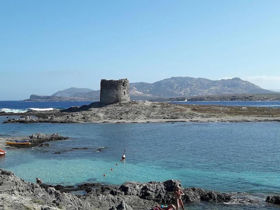 Stintino, Casa In Riva Alla Spiaggia Villa Dış mekan fotoğraf